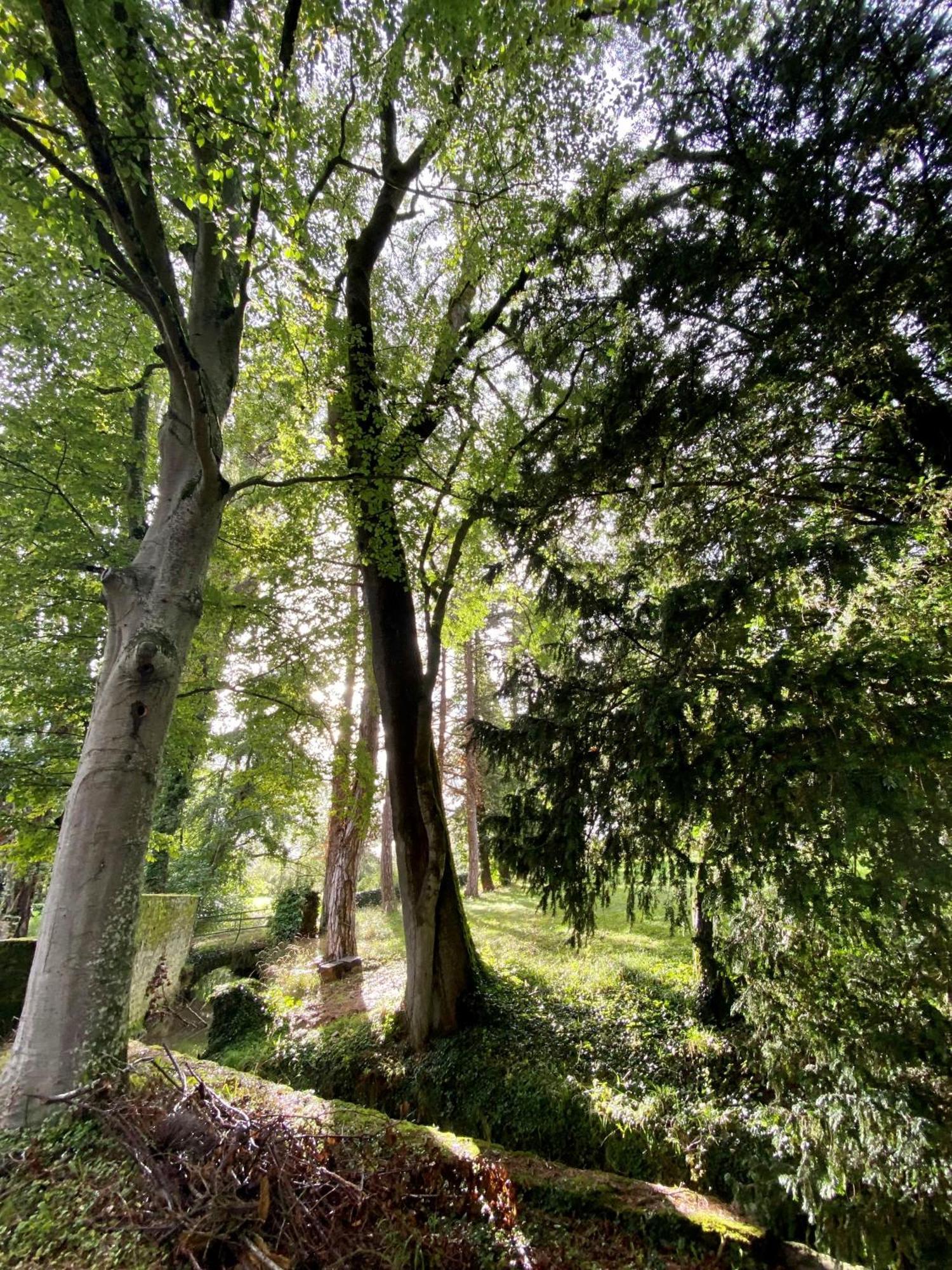 Le Domaine De Moroges住宿加早餐旅馆 外观 照片